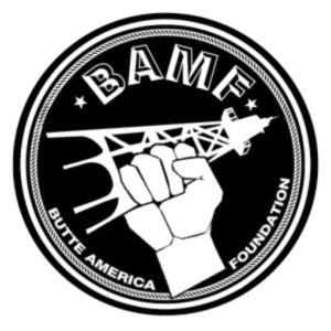 BAmF Logo